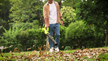 21V Cordless Leaf Blower with Dual Batteries and Fast Charger