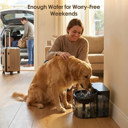 VEWO 11L Dog Water Fountain – No Spill, Ultra Quiet – 7 Days No Refill for Large Pets